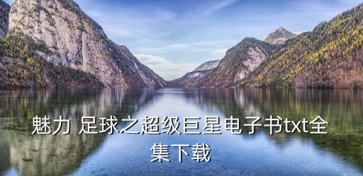 魅力 足球之超級巨星電子書txt全集下載