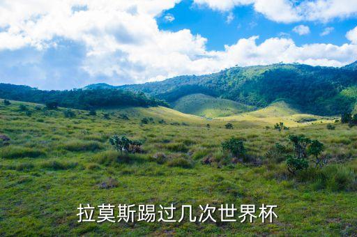 拉莫斯踢過(guò)幾次世界杯