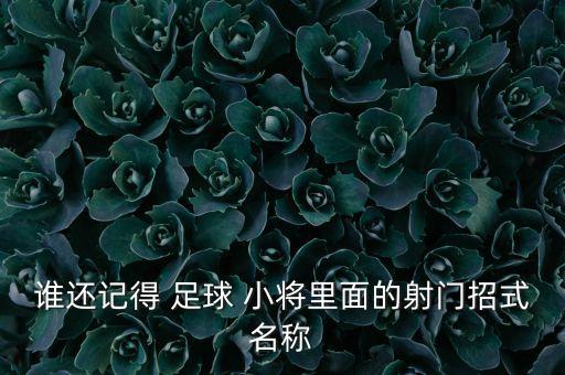 誰(shuí)還記得 足球 小將里面的射門招式名稱