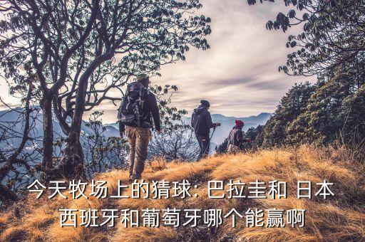 今天牧場上的猜球: 巴拉圭和 日本西班牙和葡萄牙哪個(gè)能贏啊