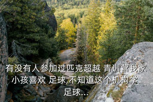 有沒(méi)有人參加過(guò)匹克超越 青訓(xùn)營(yíng)我家小孩喜歡 足球,不知道這個(gè)機(jī)構(gòu)學(xué) 足球...