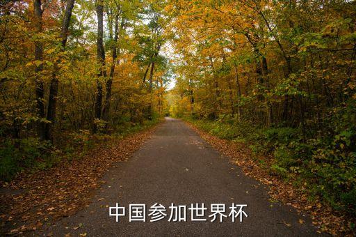 中國(guó)參加世界杯