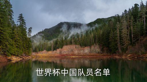 世界杯中國(guó)隊(duì)員名單