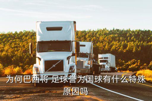 巴西人為什么喜歡足球,為什么巴西人喜歡去日本