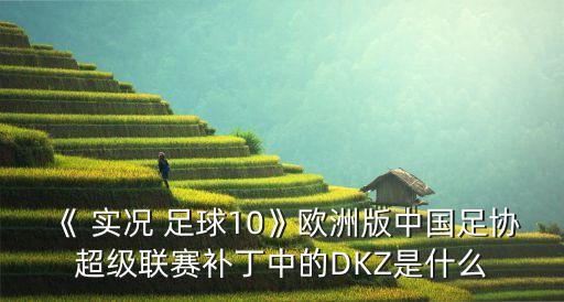 《 實況 足球10》歐洲版中國足協(xié)超級聯(lián)賽補丁中的DKZ是什么