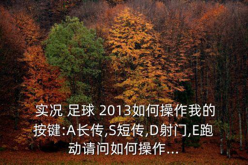  實況 足球 2013如何操作我的按鍵:A長傳,S短傳,D射門,E跑動請問如何操作...