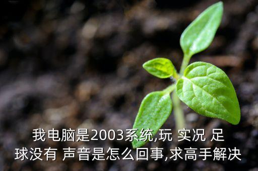 我電腦是2003系統(tǒng),玩 實(shí)況 足球沒(méi)有 聲音是怎么回事,求高手解決