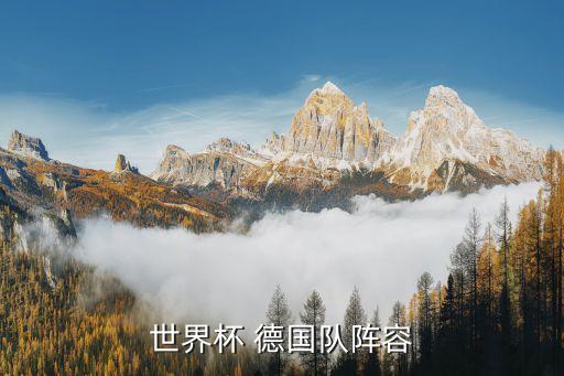 世界杯 德國隊(duì)陣容