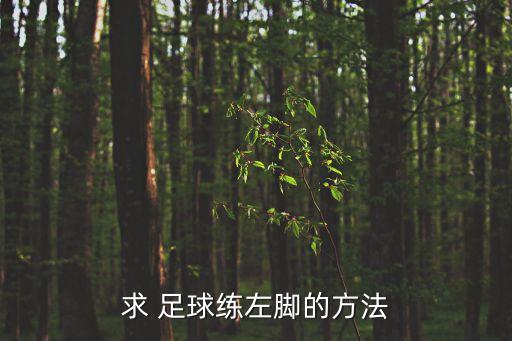 一刻足球位置訓(xùn)練,一套完整的足球訓(xùn)練計劃