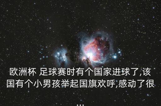 歐洲杯 足球賽時(shí)有個(gè)國(guó)家進(jìn)球了,該國(guó)有個(gè)小男孩舉起國(guó)旗歡呼,感動(dòng)了很...