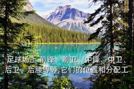 足球場(chǎng)上 前鋒、前衛(wèi)、中鋒、中衛(wèi)、后衛(wèi)、后腰等等,它們的位置和分配工...