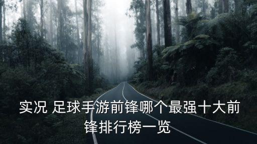 實(shí)況足球各個(gè)位置好用球員