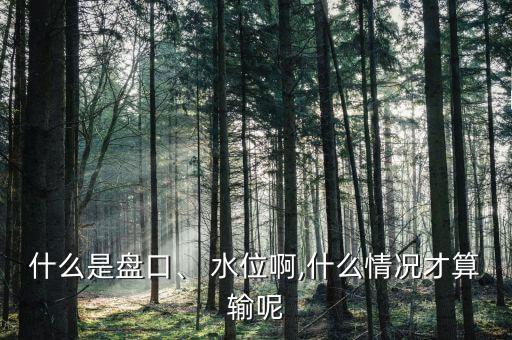 什么是盤口、 水位啊,什么情況才算輸呢