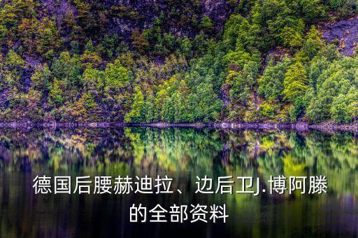  德國后腰赫迪拉、邊后衛(wèi)J.博阿滕的全部資料