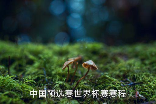 中國預(yù)選賽世界杯賽賽程