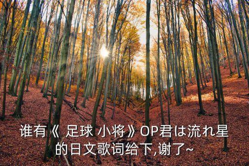 誰(shuí)有《 足球 小將》OP君は流れ星的日文歌詞給下,謝了~