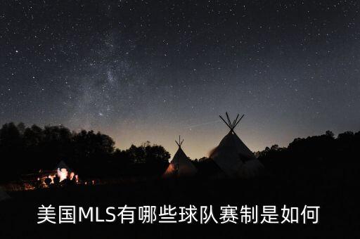 美國(guó)MLS有哪些球隊(duì)賽制是如何