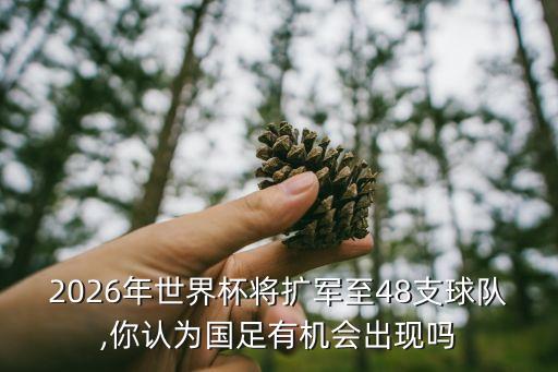 2026年世界杯將擴軍至48支球隊,你認為國足有機會出現(xiàn)嗎