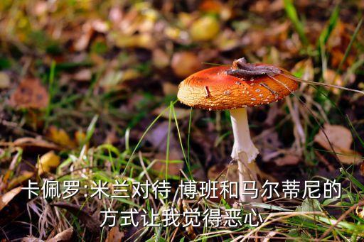 卡佩羅:米蘭對(duì)待 博班和馬爾蒂尼的方式讓我覺(jué)得惡心
