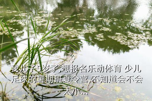 我兒子5歲了,想報(bào)名樂動(dòng)體育 少兒 足球的暑期班夏令營(yíng),不知道會(huì)不會(huì)太小...