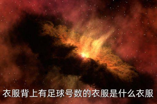 衣服背上有足球號(hào)數(shù)的衣服是什么衣服