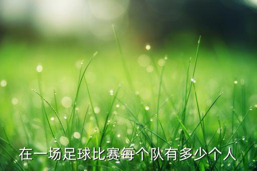 在一場(chǎng)足球比賽每個(gè)隊(duì)有多少個(gè)人