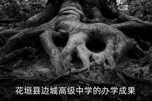 花垣縣邊城高級中學(xué)的辦學(xué)成果