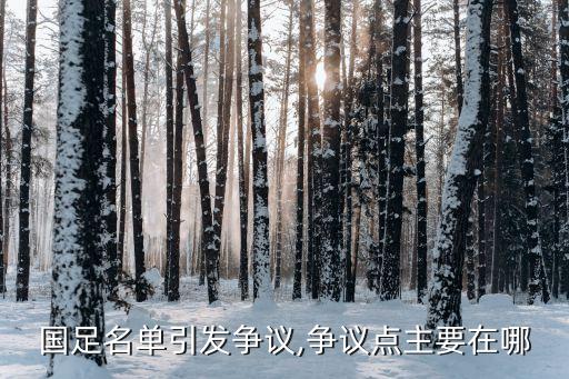 國足名單引發(fā)爭議,爭議點主要在哪