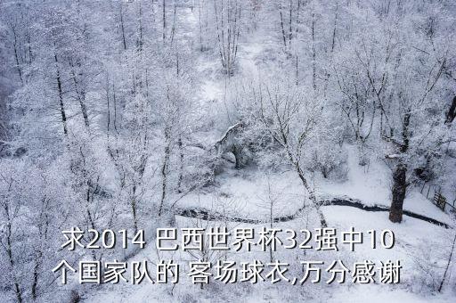 巴西足球隊(duì)客場(chǎng)隊(duì)服,世界各國足球隊(duì)隊(duì)服