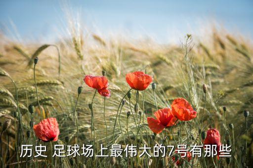 足球 皇馬七號(hào),主角加入皇馬的足球小說(shuō)