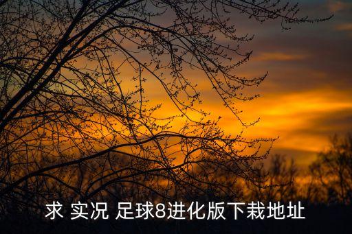 求 實(shí)況 足球8進(jìn)化版下栽地址