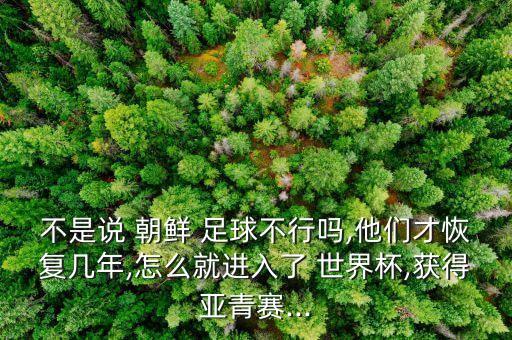 世界杯朝鮮足球,朝鮮進(jìn)過(guò)世界杯嗎
