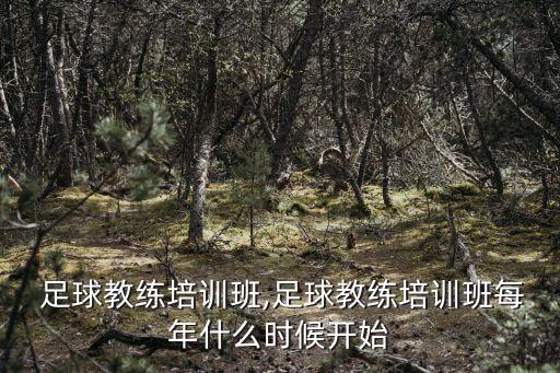 廣州 足球教練培訓(xùn)班,足球教練培訓(xùn)班每年什么時(shí)候開始