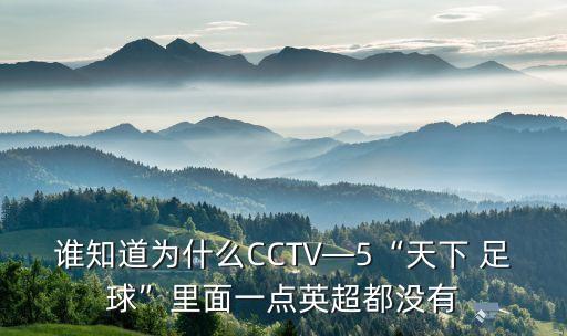 誰(shuí)知道為什么CCTV—5“天下 足球”里面一點(diǎn)英超都沒有