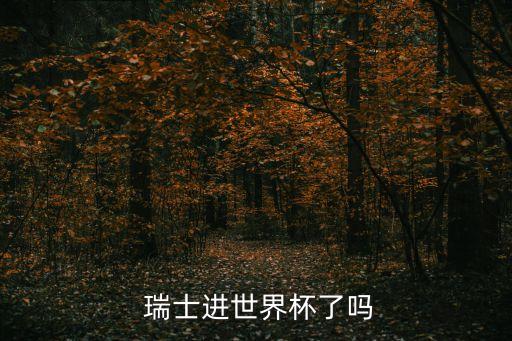  瑞士進世界杯了嗎