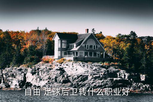  自由 足球后衛(wèi)轉(zhuǎn)什么職業(yè)好