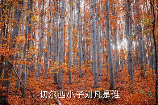  切爾西小子劉凡是誰(shuí)