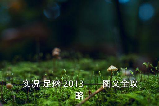  實(shí)況 足球 2013——圖文全攻略