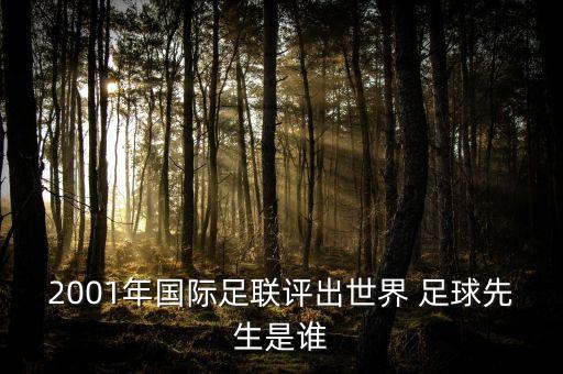 2001年國(guó)際足聯(lián)評(píng)出世界 足球先生是誰