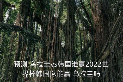 預(yù)測 烏拉圭vs韓國誰贏2022世界杯韓國隊能贏 烏拉圭嗎