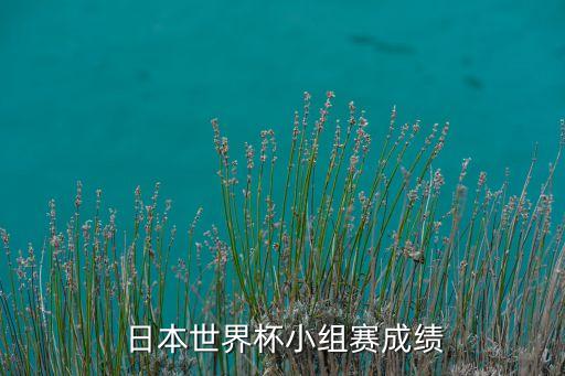 日本足球近十場戰(zhàn)績