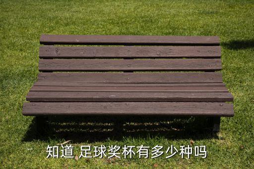 知道 足球獎(jiǎng)杯有多少種嗎