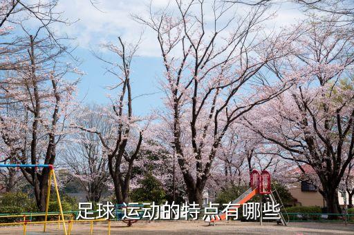  足球 運(yùn)動的特點(diǎn)有哪些