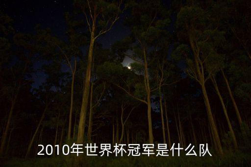 2010年世界杯冠軍是什么隊(duì)