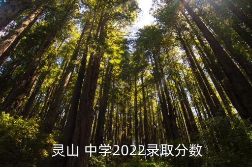 海南省靈山中學(xué)足球,?？谑徐`山中學(xué)足球
