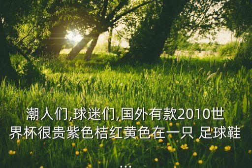潮人們,球迷們,國外有款2010世界杯很貴紫色桔紅黃色在一只 足球鞋...