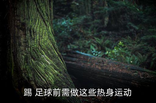 踢 足球前需做這些熱身運(yùn)動(dòng)