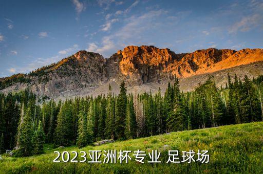2023亞洲杯專業(yè) 足球場(chǎng)