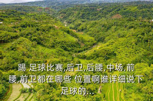 可編輯的足球陣型位置圖,足球4123陣型位置圖