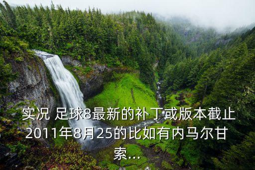  實況 足球8最新的補丁或版本截止2011年8月25的比如有內(nèi)馬爾甘索...